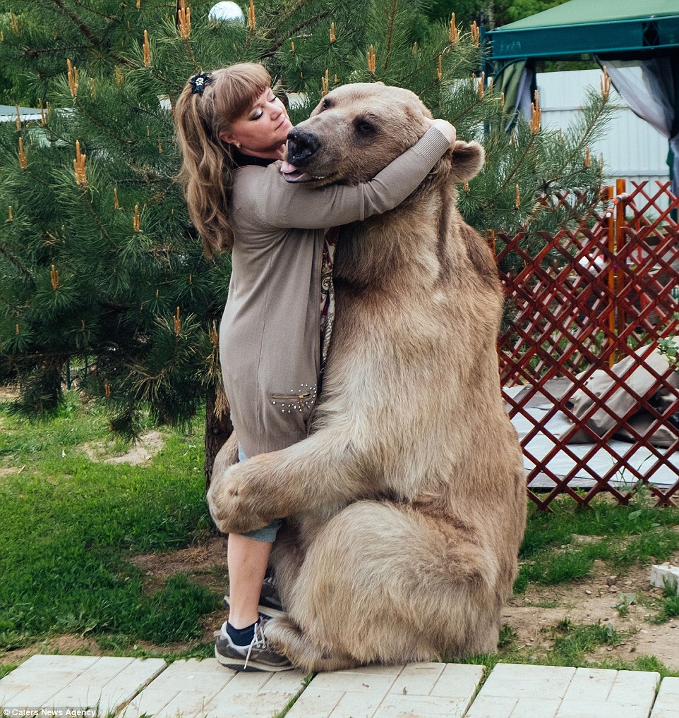 bear.hug